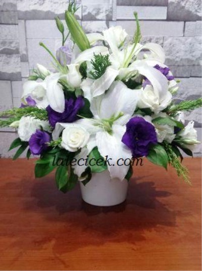  Masa Üstü Aranjman