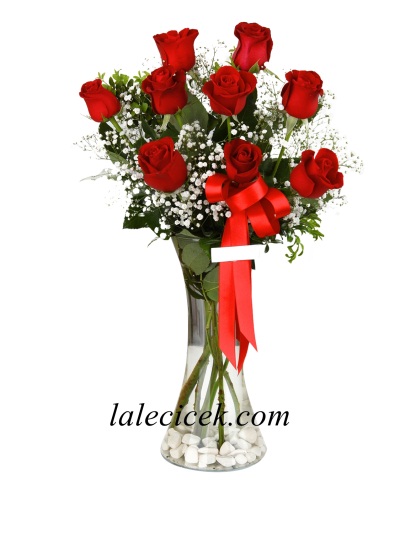 Cam Vazoda 9 Adet Kırmızı GÜL