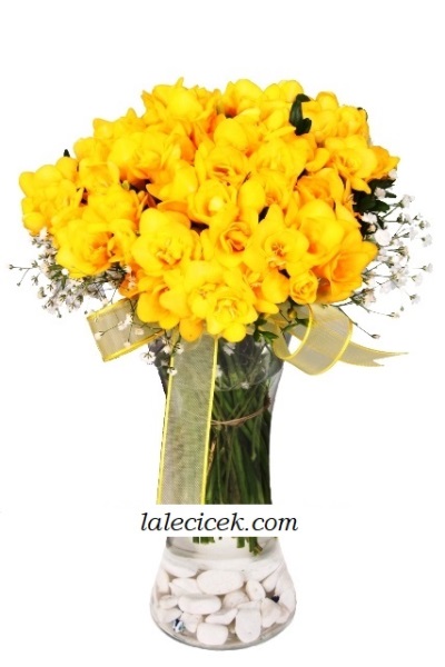 Sarı Frezya Aranjman LC51