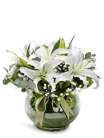 Fanusta Lilyum Aranjman LC537