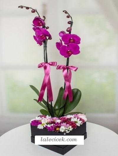 Kalp Kutuda Orkide  Aranjman LC536