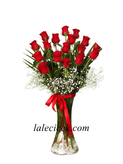 Vazoda 19 Gül Aranjman LC447