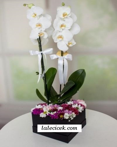 Kalp Kutuda Orkide  Aranjman LC534